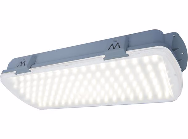 LED Taklampe 230V 22W, Carn